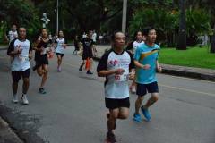 minimarathon-2016-28