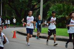 minimarathon-2016-36