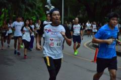 minimarathon-2016-4