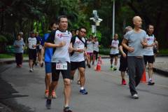 minimarathon-2016-9