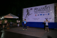IMG-11