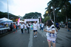 IMG-139