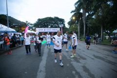 IMG-141
