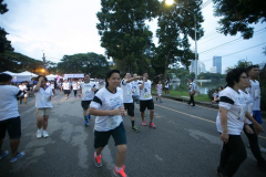 IMG-146