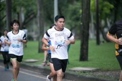 IMG-193