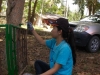 arsa10- (93)