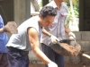 arsa10- (111)