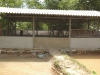 arsa13 (40)