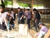 arsa18 (18)